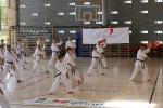 Shotokan Gasshuku Pärnus 27.-29.06.2008